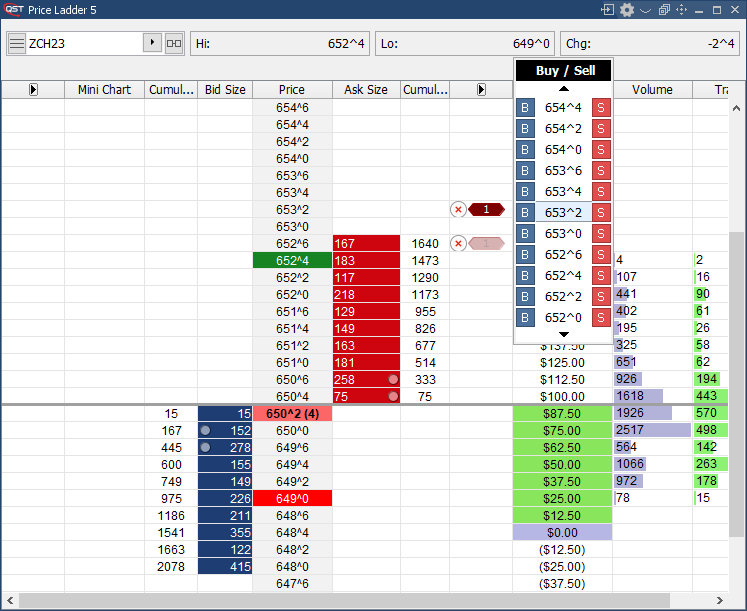 QST Professional Price Ladder Offering Advanced Trading Directly Showing Orders And The Possibility To Edit Quantity, Lifetime And Account At Place Order